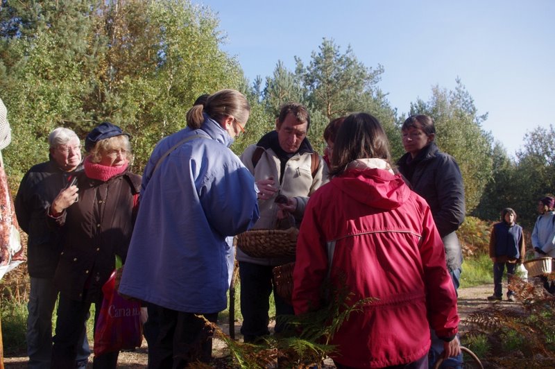 Mares au vinaigre 30